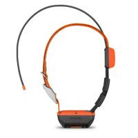 Garmin Collare per cani Alpha T 20 K