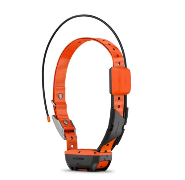 Garmin Collare per cani Alpha T 20 K - immagine 2