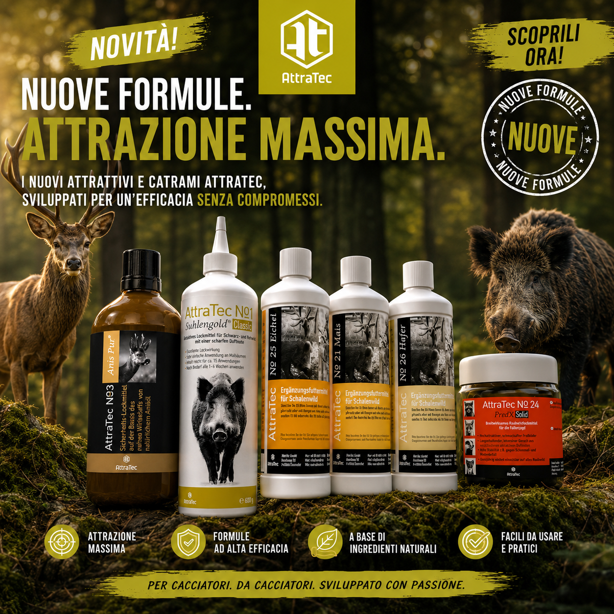 Attrattivi Armeria Barbuio