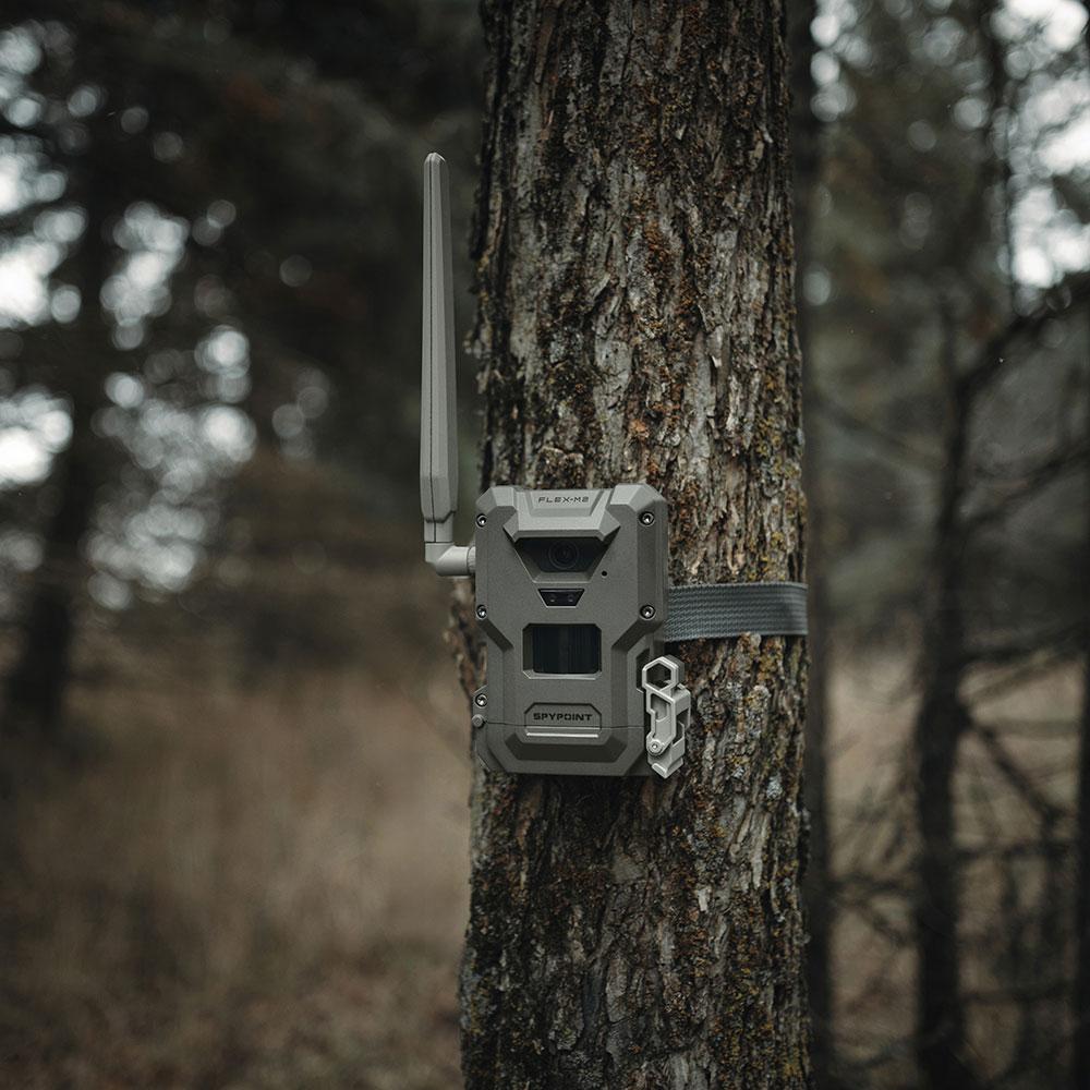 Spypoint Fototrappola Flex-M2 - immagine 2